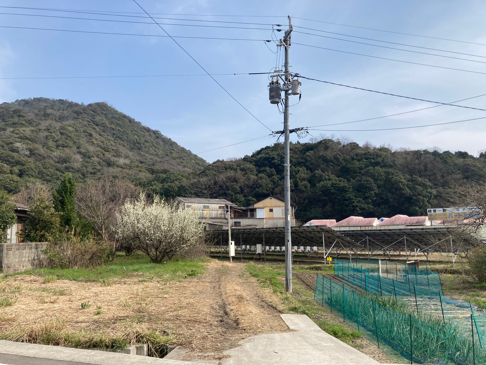 山口市 N様